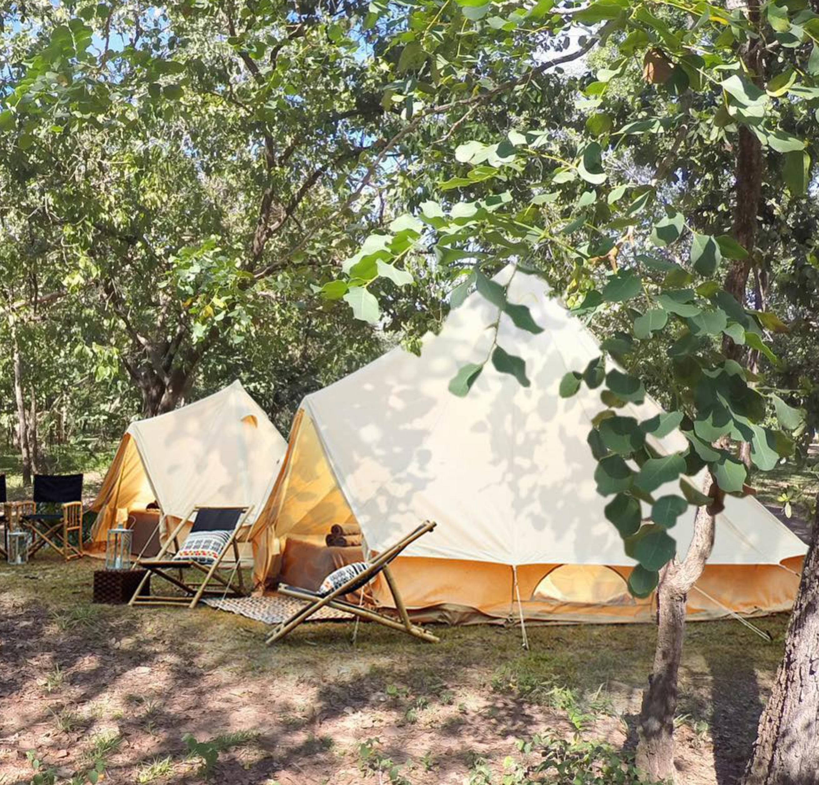 Cooinda Lodge Campground