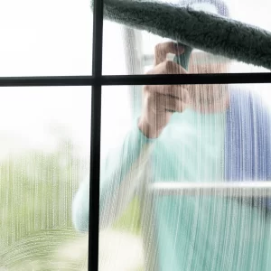 What do professional window cleaners use in their solution