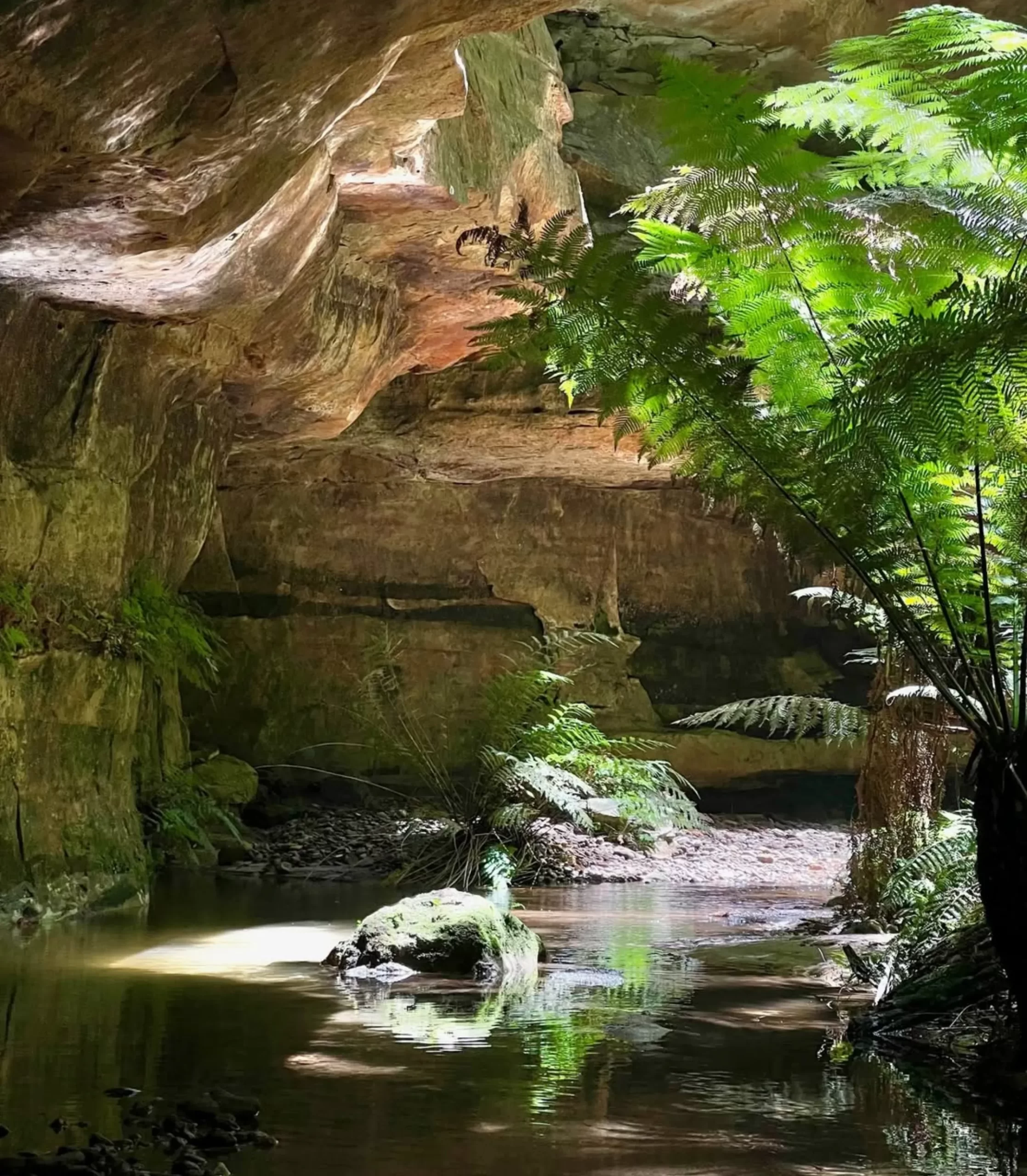 rock formations, Blue Mountains