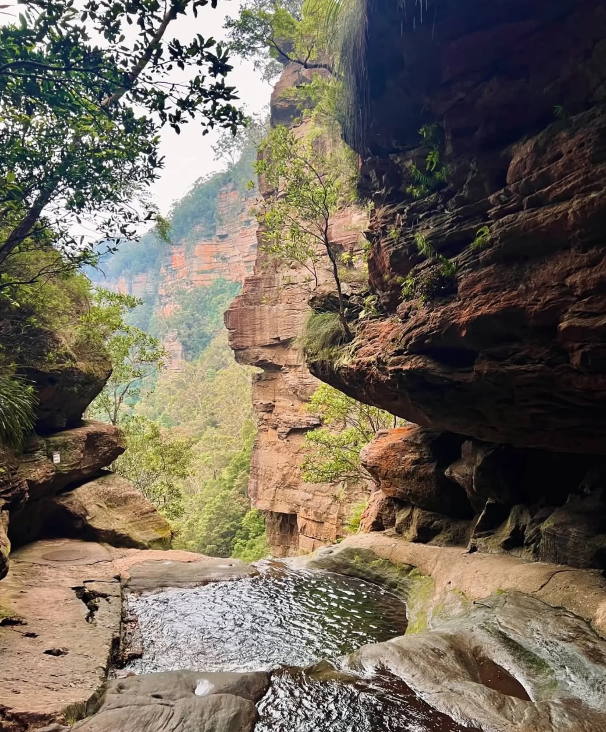 sandstone cliffs, Blue Mountains