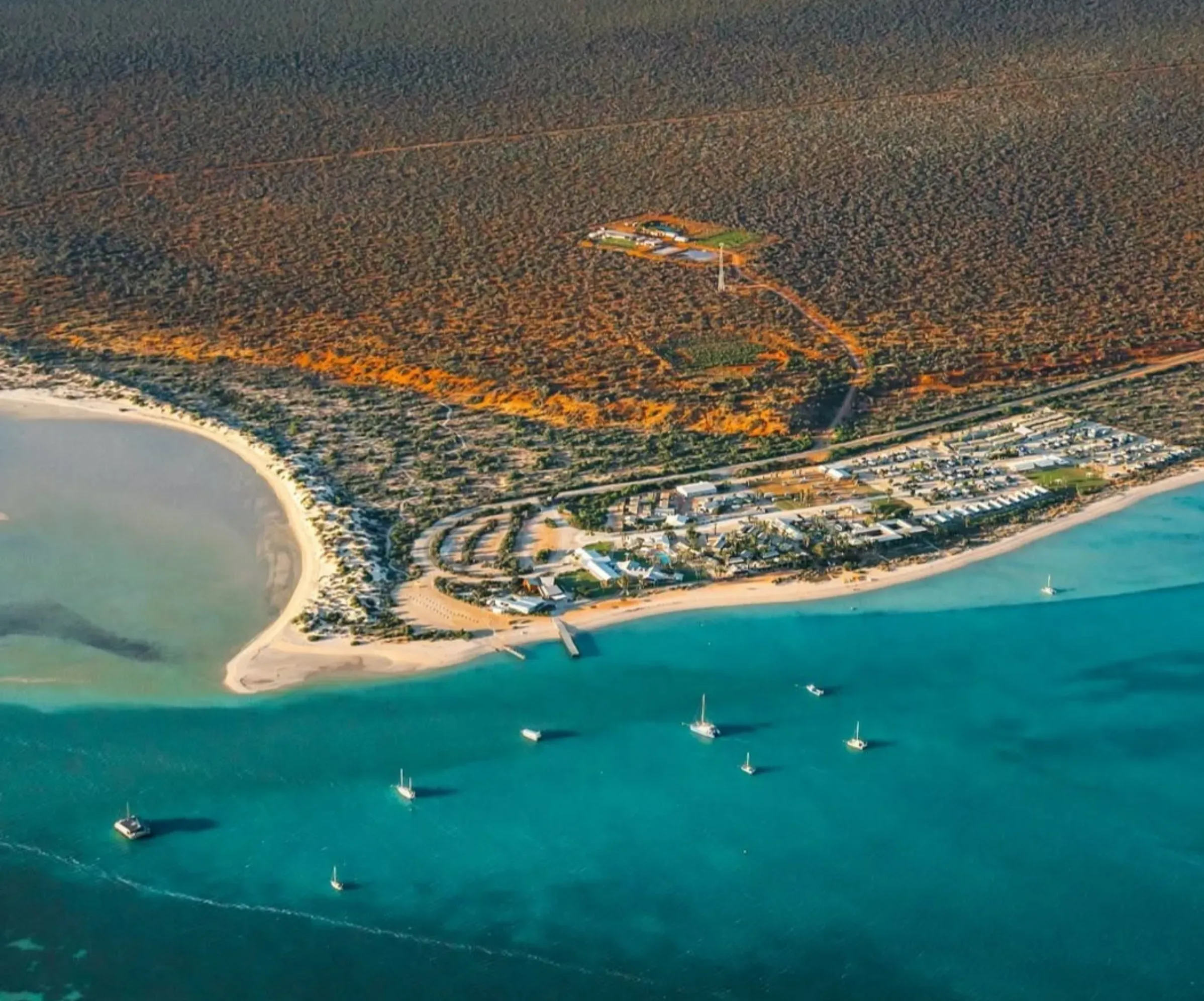 seaside town, Monkey Mia