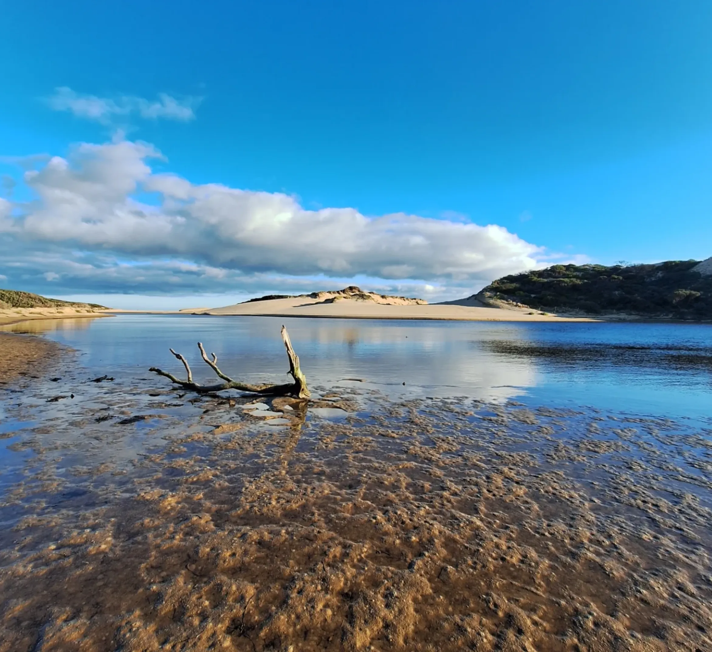Cape Woolamai surf