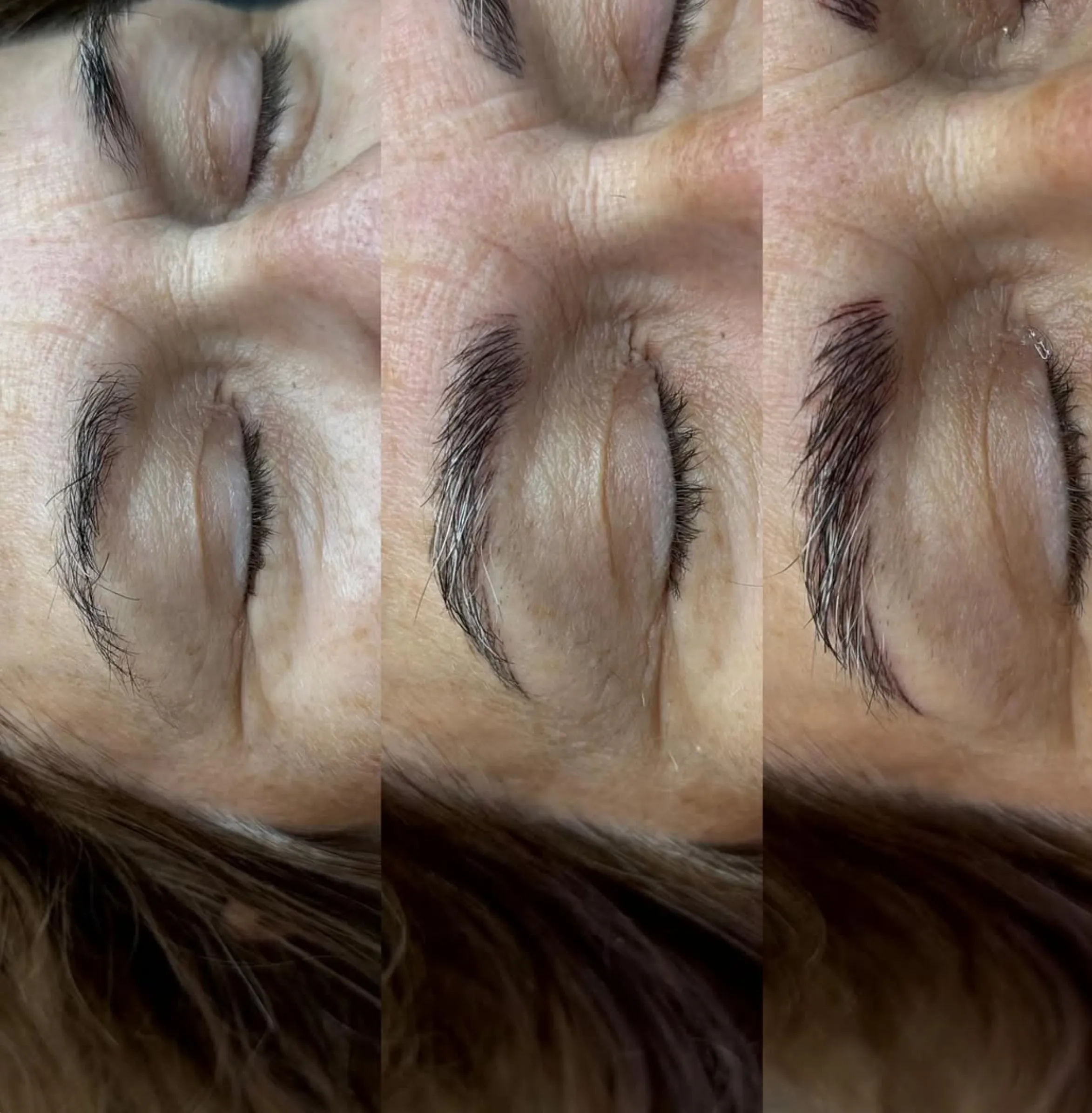 Brow artist microblading training