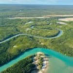 Tiwi Islands Day Trip
