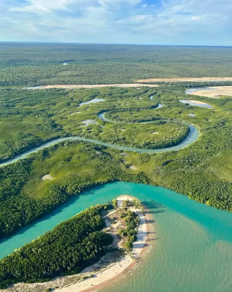 Tiwi Islands Day Trip