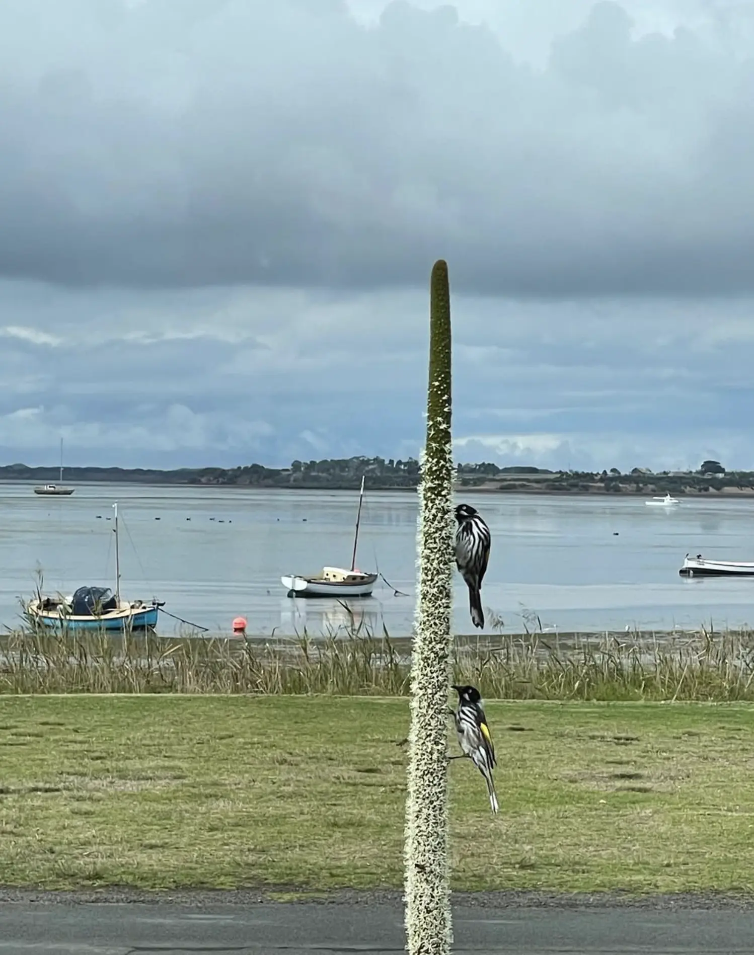 what is the main street in phillip island